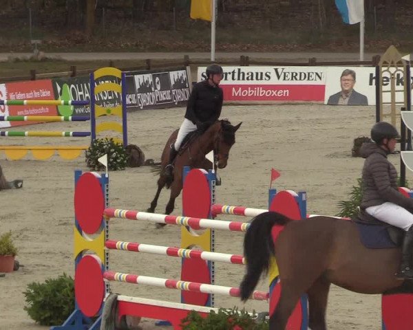 Reitturnier Westergellersen 2022