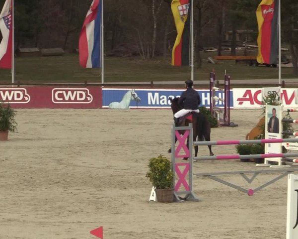 Reitturnier Westergellersen 2022