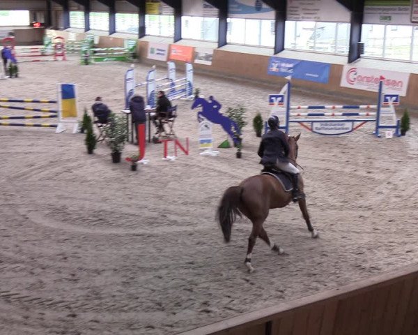 Reitturnier Niebüll 2022