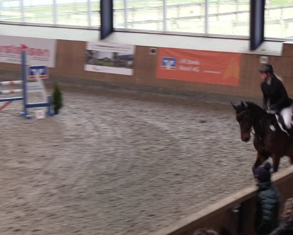 Reitturnier Niebüll 2022