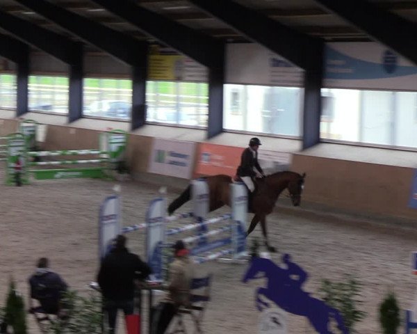Reitturnier Niebüll 2022