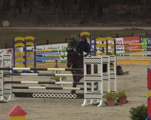 Reitturnier Westergellersen 2022