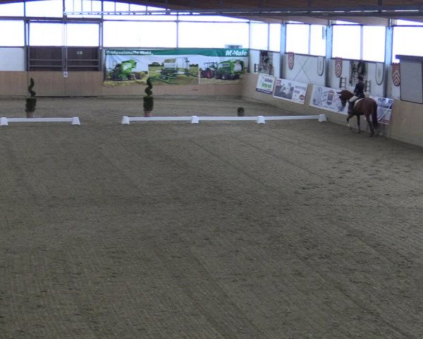 Reitturnier Borgholzhausen-Westbarthausen 2022