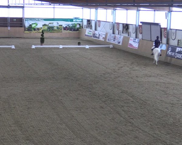 Reitturnier Borgholzhausen-Westbarthausen 2022