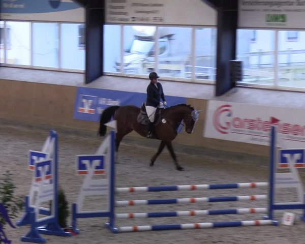 Reitturnier Niebüll 2022