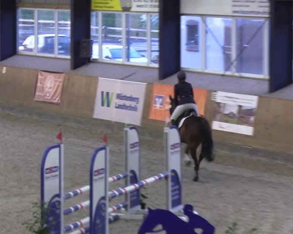 Reitturnier Niebüll 2022