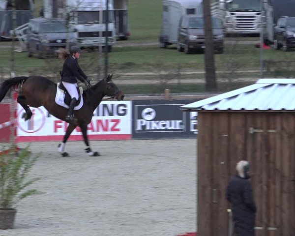 Reitturnier Westergellersen 2022