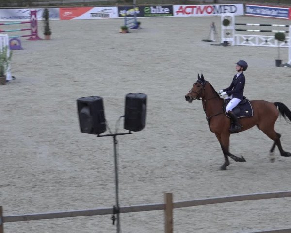 Reitturnier Westergellersen 2022