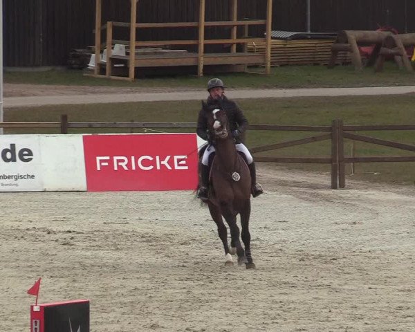 Reitturnier Westergellersen 2022