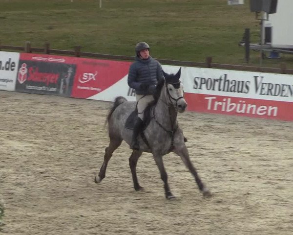 Reitturnier Westergellersen 2022