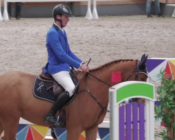 Reitturnier Borken 2022