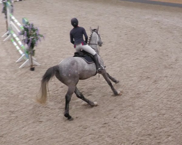 Reitturnier Borken 2022