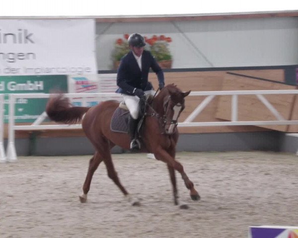 Reitturnier Borken 2022