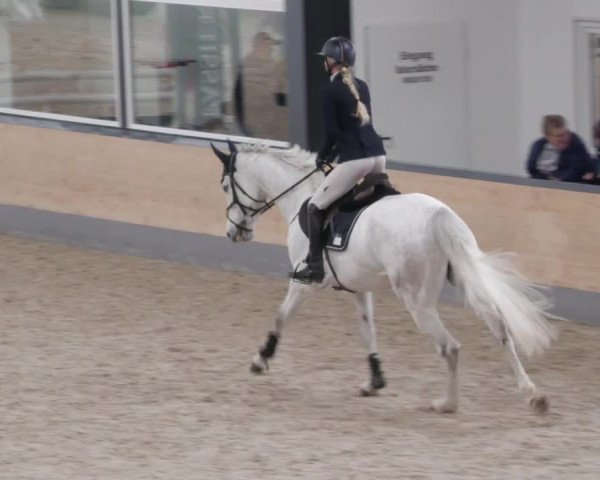 Reitturnier Borken 2022