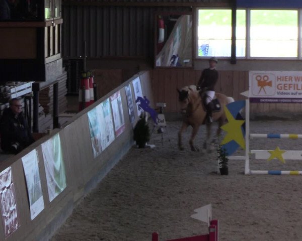 Reitturnier Niebüll 2022