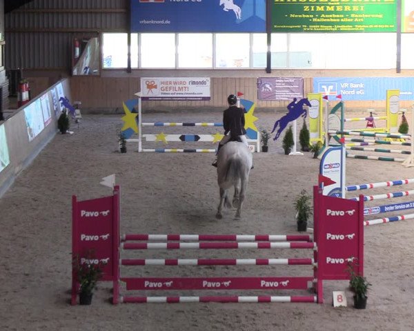Reitturnier Niebüll 2022