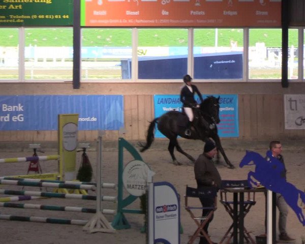 Reitturnier Niebüll 2022