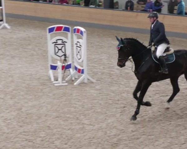 Reitturnier Borken 2022