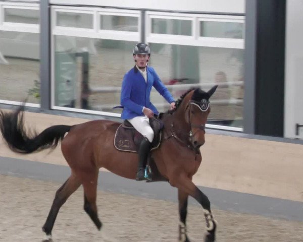 Reitturnier Borken 2022