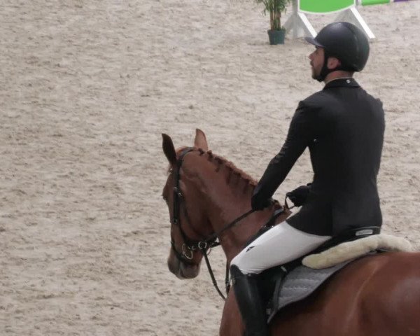 Reitturnier Borken 2022