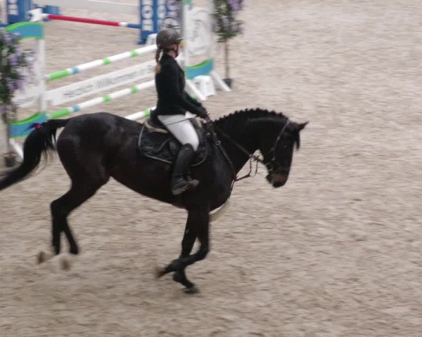 Reitturnier Borken 2022