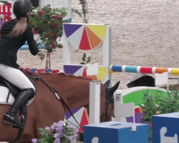 Reitturnier Borken 2022