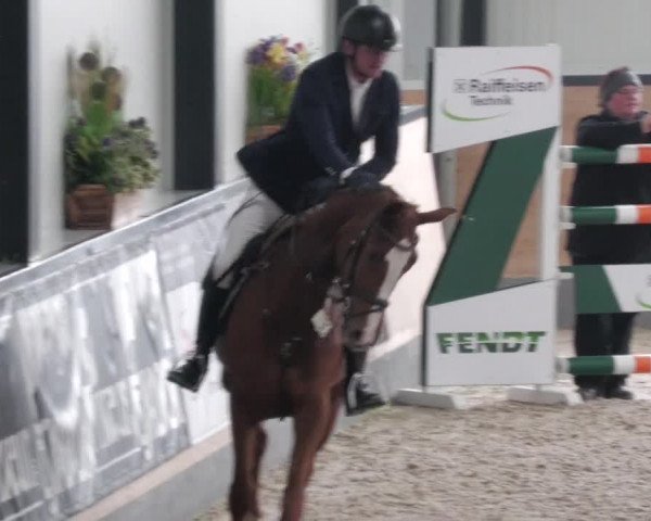 Reitturnier Borken 2022