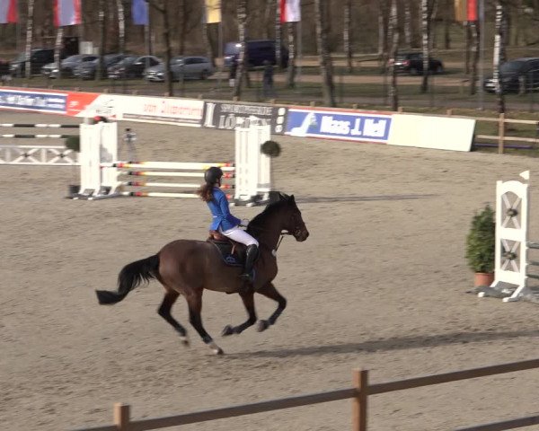 Reitturnier Westergellersen 2022