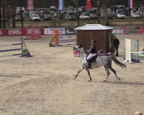 Reitturnier Westergellersen 2022