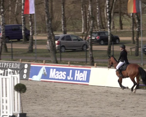 Reitturnier Westergellersen 2022