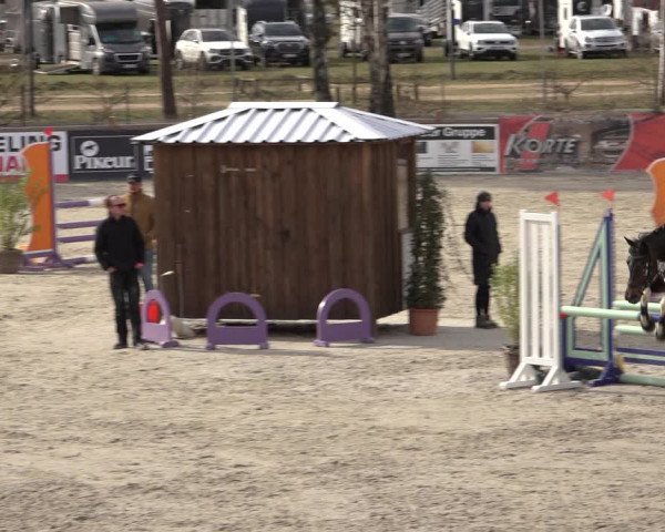 Reitturnier Westergellersen 2022