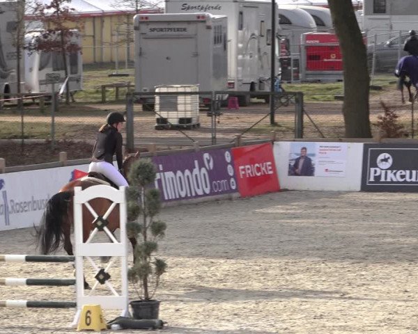 Reitturnier Westergellersen 2022