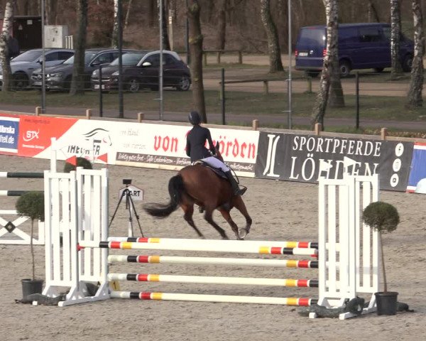Reitturnier Westergellersen 2022
