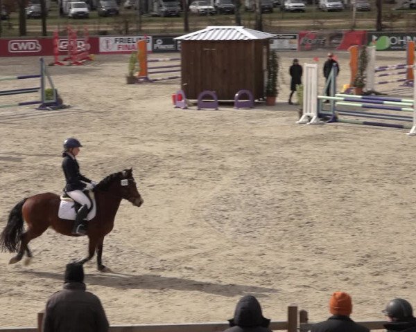 Reitturnier Westergellersen 2022