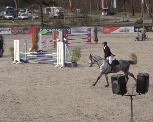 Reitturnier Westergellersen 2022