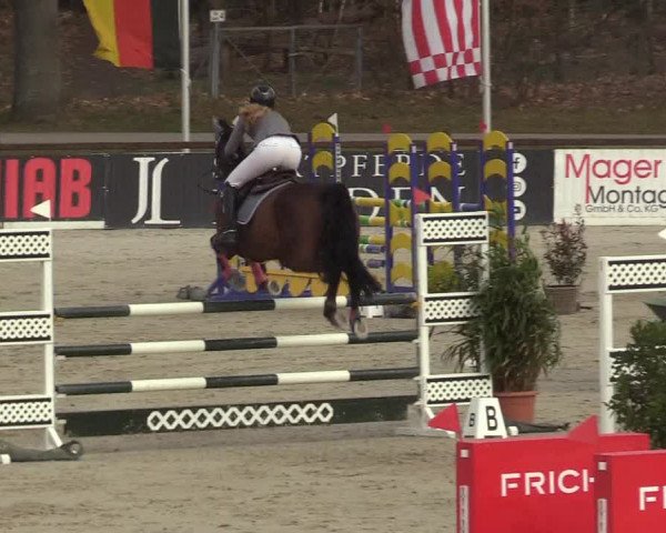 Reitturnier Westergellersen 2022