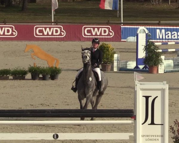 Reitturnier Westergellersen 2022