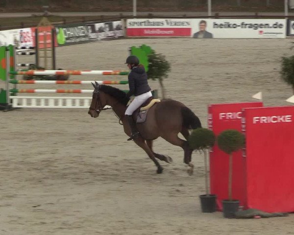 Reitturnier Westergellersen 2022