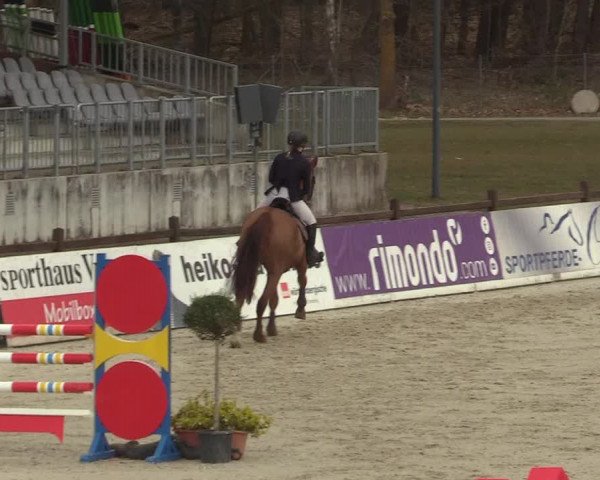 Reitturnier Westergellersen 2022