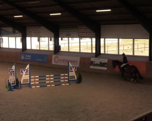 Reitturnier Niebüll 2022