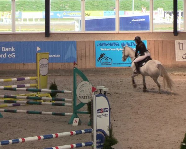 Reitturnier Niebüll 2022
