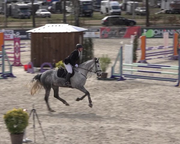 Reitturnier Westergellersen 2022