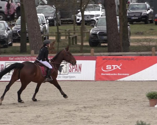 Reitturnier Westergellersen 2022
