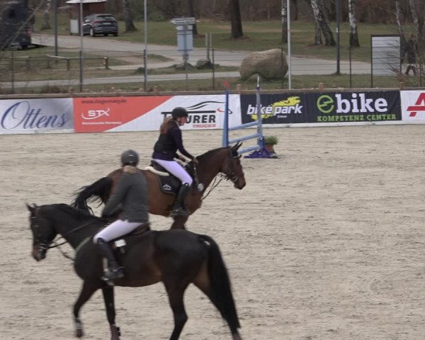 Reitturnier Westergellersen 2022