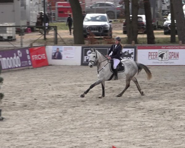 Reitturnier Westergellersen 2022
