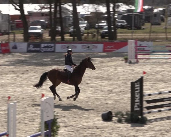 Reitturnier Westergellersen 2022