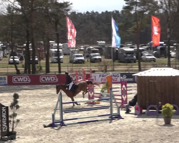 Reitturnier Westergellersen 2022