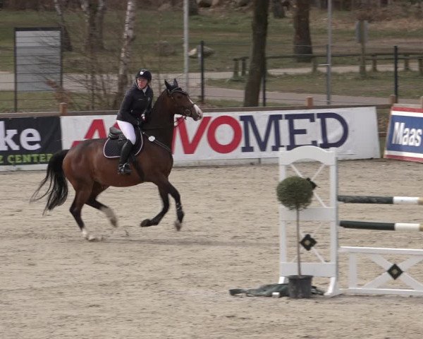 Reitturnier Westergellersen 2022