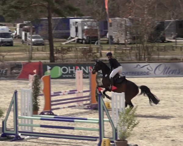 Reitturnier Westergellersen 2022