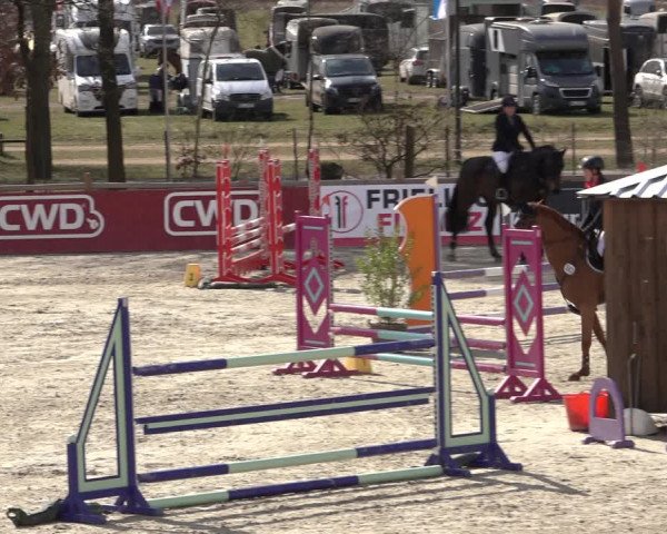 Reitturnier Westergellersen 2022